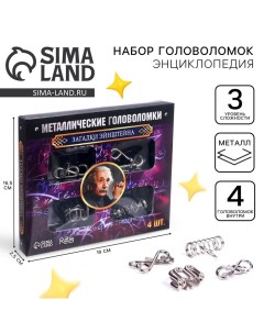 Головоломка металлическая «Загадки Эйнштейна», набор 4 шт. Puzzle