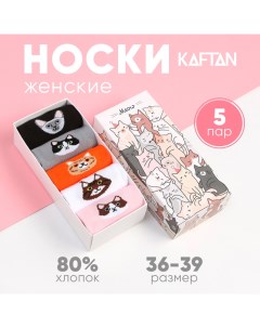 Набор женских носков "Meow“ 5 пар, р. 36-39 (23-25 см) Kaftan