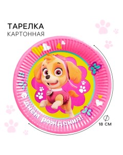 Тарелка одноразовая бумажная "С Днем Рождения!", 18 см, Щенячий патруль Paw patrol