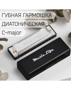 Губная гармошка, диатоническая, C-major, с футляром, серебристая Music life