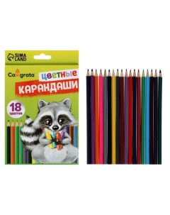 Карандаши 18 цветов, шестигранные, в картонной коробке Calligrata