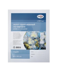 Холст на картоне 40 х 50 см, хлопок 100%, акриловый грунт, мелкозернистый, "Студия" Гамма