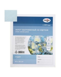 Холст на картоне 30 х 35 см, хлопок 100%, акриловый грунт, мелкозернистый, "Студия" Гамма