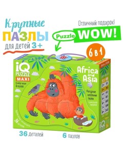 IQ пазл напольный «Африка и Азия», 3+ Айрис-пресс