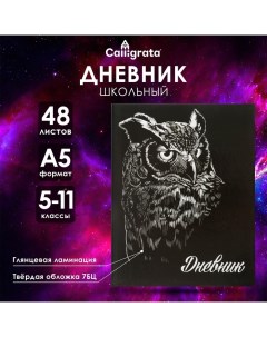 Дневник для 5-11 классов, "Сова", твердая обложка 7БЦ, глянцевая ламинация, 48 листов Calligrata