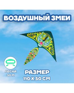 Воздушный змей «Тигр», с леской Funny toys