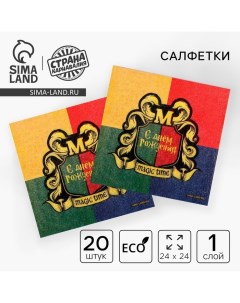 Салфетки бумажные однослойные «С днём рождения. Magic time», 24 ? 24 см, 20 шт. Страна карнавалия