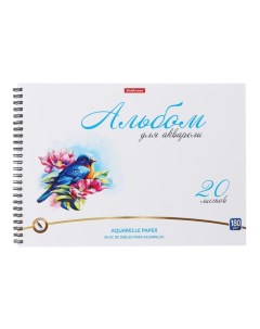 Альбом для акварели А4, 20 листов, блок 180 г/м?, на спирали, Erich Krause "Birds", экстра белая, тв Erichkrause