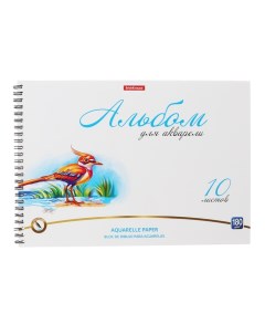 Альбом для акварели А4, 10 листов на спирали, Erich Krause Birds, блок 180 г/м?, экстра белая, перфо Erichkrause