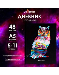 Дневник для 5-11 классов, "Неон. Сова", твердая обложка 7БЦ, глянцевая ламинация, 48 листов Calligrata