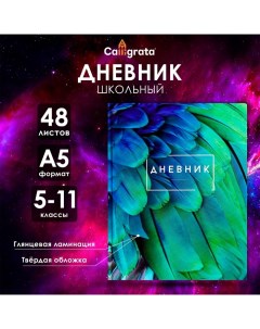 Дневник для 5-11 классов, "Перья", твердая обложка 7БЦ, глянцевая ламинация, 48 листов Calligrata