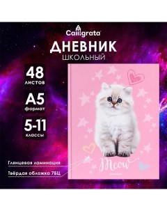 Дневник для 5-11 классов, "Котик", твердая обложка 7БЦ, глянцевая ламинация, 48 листов Calligrata