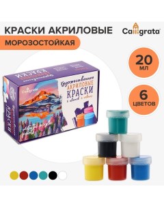 Краска акриловая, набор 6 цветов х 20 мл,, художественная, морозостойкая, в картонной коробке Calligrata