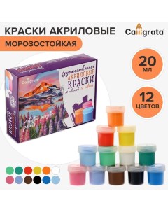 Краска акриловая, набор 12 цветов х 20 мл,, художественная, морозостойкая, в картонной коробке Calligrata