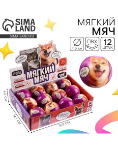 Мяч детский мягкий «Играй с друзьями»питомцы 4,5 см, в шоубоксе Funny toys