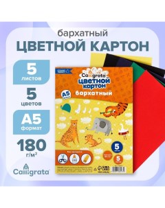 Картон бархатный А5, 5 листов, 5 цветов, 180 г/м2 Calligrata