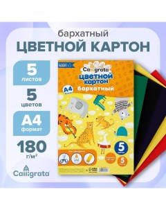 Картон бархатный А4, 5 листов, 5 цветов, 180 г/м2 Calligrata