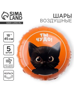 Воздушный шар фольгированный 18" "Котик. Ты чудо", круг, набор 5 шт. Leti