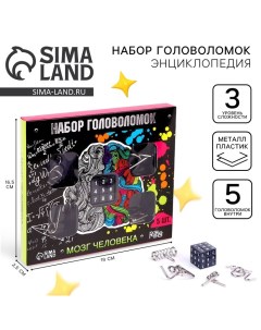 Головоломка металлическая «Мозг человека», набор 5 шт. Puzzle