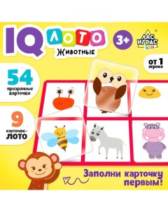 Настольная игра для детей на логику «Мемо-лото. Животные», от 1 игрока, 3+ Лас играс kids