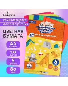 Бумага цветная самоклеящаяся А4, 10 листов, 5 цветов, флуоресцентная, 80 г/м2 Calligrata