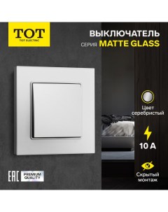 Выключатель проходной Matte Glass, 10 А, 1 кл., скрытый, стекло, серебристый Tot