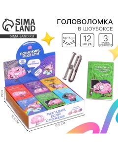 Головоломка «Пораскинь мозгами», металл, МИКС, в шоубоксе Puzzle