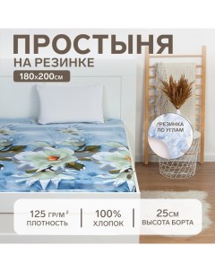 Простыня на резинке 180х200х25 см, «Кувшинки», 100% хлопок, бязь, 125 гр/м2 Этель