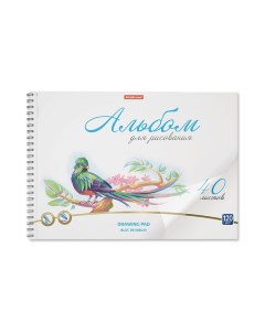 Альбом для рисования А4, 40 листов, блок 120 г/м?, на спирали, Erich Krause "Birds", пластиковая обл Erichkrause