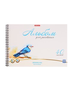 Альбом для рисования А4, 40 листов на спирали, Erich Krause Birds, блок 120 г/м?, 100% белизна, перф Erichkrause