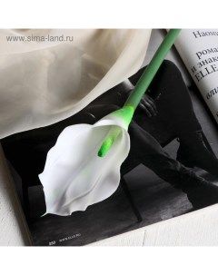 Цветок искусственный "Калла" 7х65 см, белый Poetry in flowers