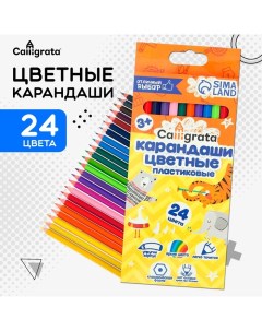 Карандаши 24 цвета, ЭКОНОМ, заточенные, шестигранные, пластиковые, картонная упаковка, европодвес Calligrata