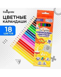 Карандаши 18 цветов, ЭКОНОМ, заточенные, шестигранные, пластиковые, картонная упаковка, европодвес Calligrata