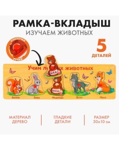 Рамка - вкладыш «Учим лесных животных», 5 элементов Лесная мастерская