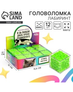 Головоломка лабиринт с шариком «За любой движ», в шоубоксе Puzzle