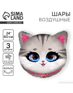 Воздушный шар фольгированный 24" «Котик», набор 3 шт. Leti