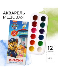 Акварель медовая «Щенячий патруль», 12 цветов, в картонной коробке, без кисти Paw patrol