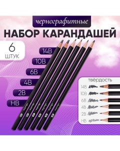 Набор карандашей чернографитных 6 штук (14В, 10В, 6В, 4В, 2В, НВ) Calligrata