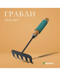 Грабли малые, прямые, 5 зубцов, длина 29 см, металл, деревянная ручка с поролоном Greengo