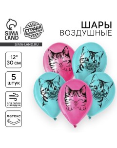 Воздушный шар латексный 12" «Котик», 5 шт. Страна карнавалия