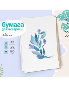 Бумага для акварели А2, 20 листов, блок 180 г/м2, рисовальная Calligrata