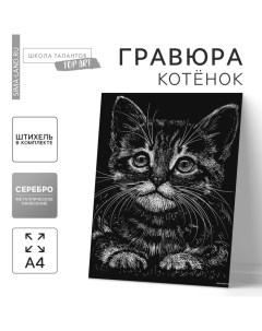 Гравюра «Котёнок» с металлическим эффектом «серебро» А4 Школа талантов