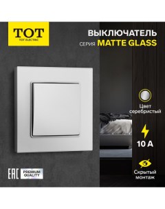 Выключатель Matte Glass, 10 А, 1 кл., скрытый, стекло, серебристый Tot