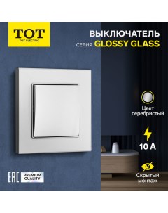 Выключатель Glossy Glass, 10 А, 1 клавиша, скрытый, стекло, серебристый Tot