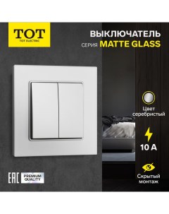 Выключатель Matte Glass, 10 А, 2 кл., скрытый, стекло, серебристый Tot