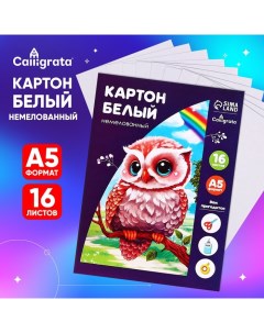 Картон белый А5, 16 листов, немелованный, плотность 200 г/м2, в папке Calligrata