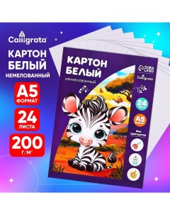 Картон белый А5, 24 листа, немелованный, плотность 200 г/м2, в папке Calligrata