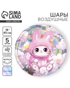 Воздушный шар фольгированный 18" "Котик", круг, голография, набор 5 шт. Leti