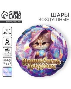 Воздушный шар фольгированный 18" "Волшебного праздника", кот, круг, голография, набор 5 шт. Leti