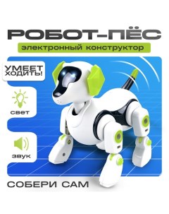 Робот «Robo-пёс», электронный конструктор, интерактивный: звук, свет, на батарейках Эврики